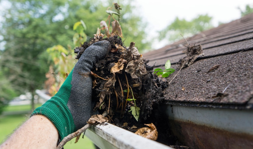 Gutter Cleaning